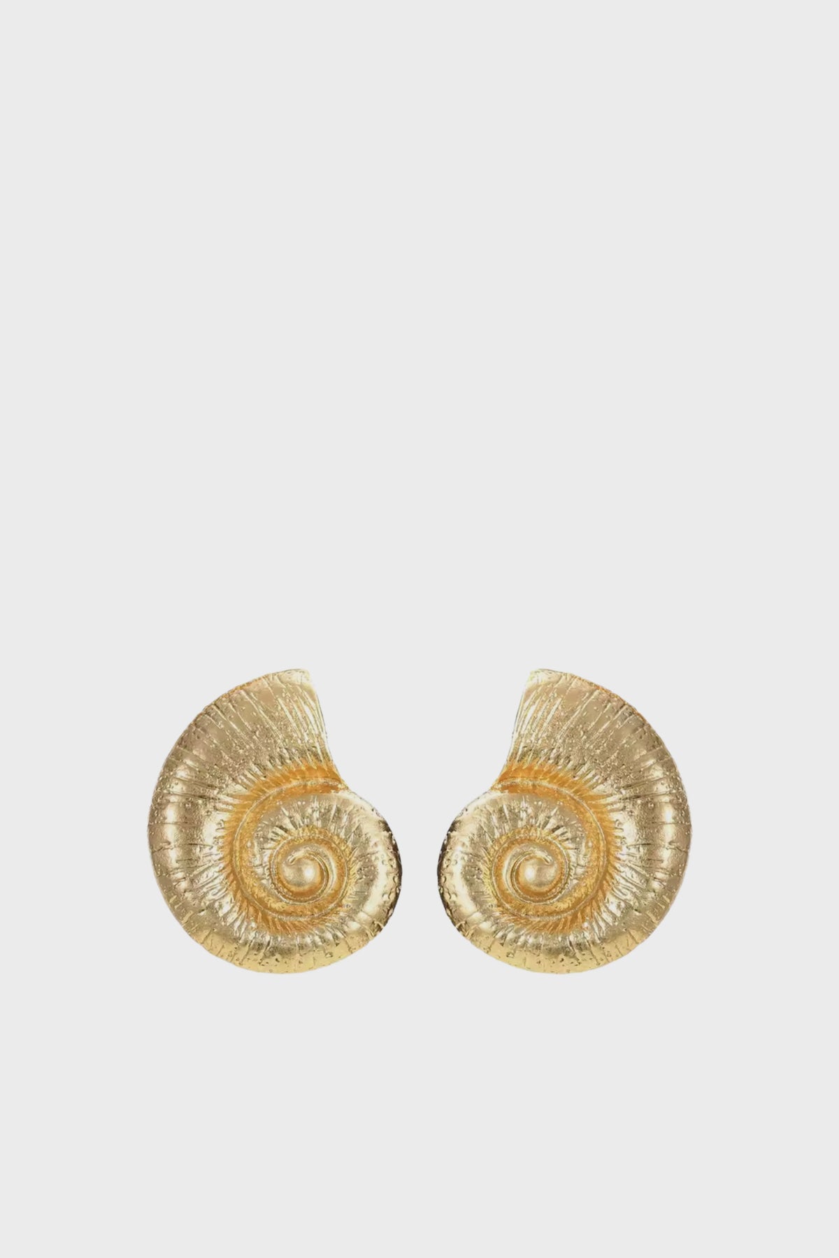 Shell Earring